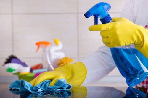 Professional pet stain odour removal service in a Merton home carpeted room