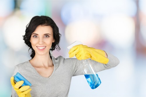 Complaint investigation for a carpet cleaning service with records and checklist