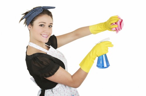 Cleaning oven shelves and trays during a deep oven clean