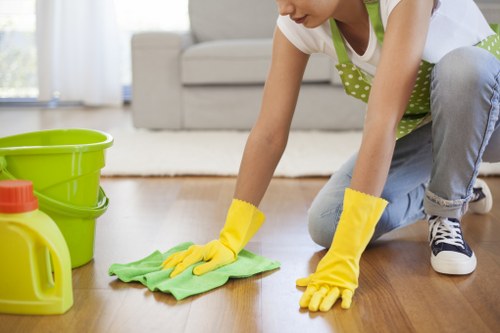 Professional review of a carpet cleaning issue with clear communication steps